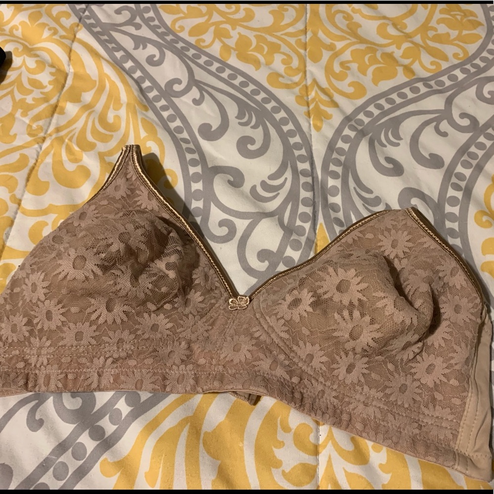 Blissful benefits Warner’s